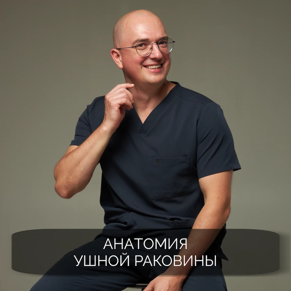 Анатомия ушной раковины